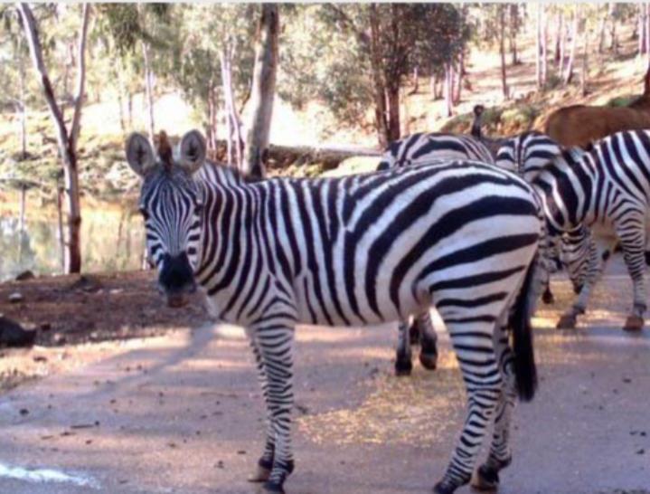 סביליה Triana Stay מראה חיצוני תמונה